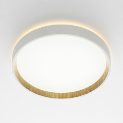 Потолочный светильник Citilux Etalon CL750240