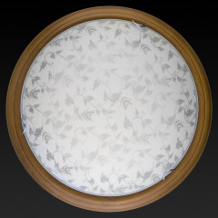 Настенно-потолочный светодиодный светильник Toplight Beatrice TL9280Y-00OA