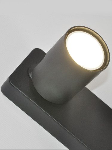 Спот Elvan NLS-2410/2-G10-Bk