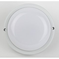 Настенно-потолочный светильник Эра SPB-201-2-40K-018 Б0054581