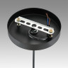 Подвесной светильник Lumion Suspentioni Leonela 8052/1A