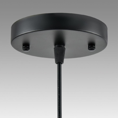 Подвесной светильник Lumion Suspentioni Leonela 8052/1A