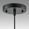 Подвесной светильник Lumion Suspentioni Leonela 8052/1A