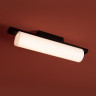 Потолочный светильник Freya Even FR5625CL-L20B