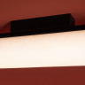 Потолочный светильник Freya Even FR5625CL-L20B