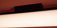 Потолочный светильник Freya Even FR5625CL-L20B