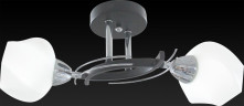 Потолочный светильник Toplight Lia TL7380X-02BC