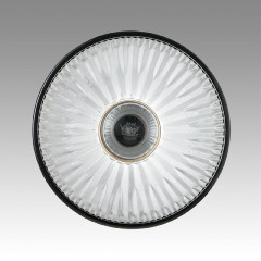 Подвесной светильник Lumion Suspentioni Natana 8053/1A