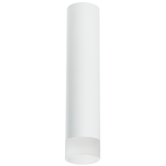 Накладной светильник Lightstar Rullo R49631 (214496+202431)
