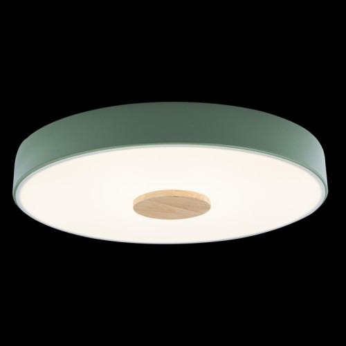 Потолочный светильник Loft IT AXEL 10003/24 Green