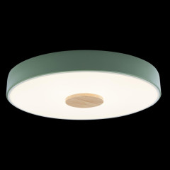 Потолочный светильник Loft IT AXEL 10003/24 Green