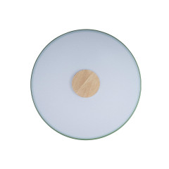 Потолочный светильник Loft IT AXEL 10003/24 Green