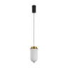 Подвесной светильник Freya Iride FR5627PL-L8BBS