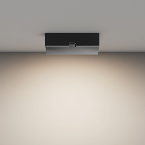 Потолочный светильник Maytoni Basis Rot C133CL-12W4K-B