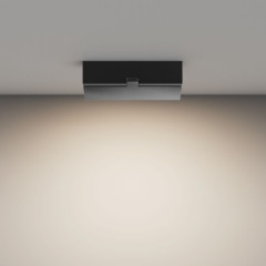 Потолочный светильник Maytoni Basis Rot C133CL-12W4K-B