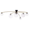 Люстра на штанге Citilux Fisher CL218163