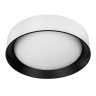 Потолочный светильник Loft IT Coin 10202 WB