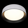 Потолочный светильник Loft IT Coin 10202 WB
