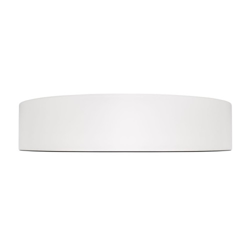 Потолочный светильник Loft IT Coin 10202 WB