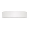 Потолочный светильник Loft IT Coin 10202 WB