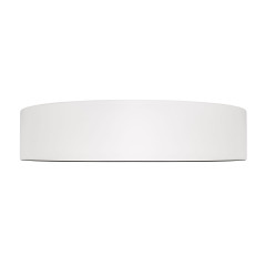 Потолочный светильник Loft IT Coin 10202 WB