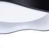 Потолочный светильник Arte Lamp Ankaa A3085PL-48BK