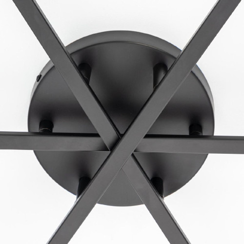 Потолочная люстра Citilux Glob CL209291