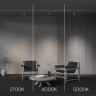 Трековый трехфазный светильник Maytoni Focus Led TR197-3-12WCCT-M-W
