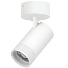 Накладной светильник 20-55G с адаптером Lightstar Canno Pro C4406SO
