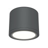 Накладной светильник Maytoni Rendo C095CL-GX53-GR