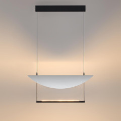 Подвесной светильник Odeon Light Glider 7015/20L