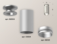 Потолочный светильник Ambrella Light Techno Spot XS6324080 (N6904, C6324, N6123)