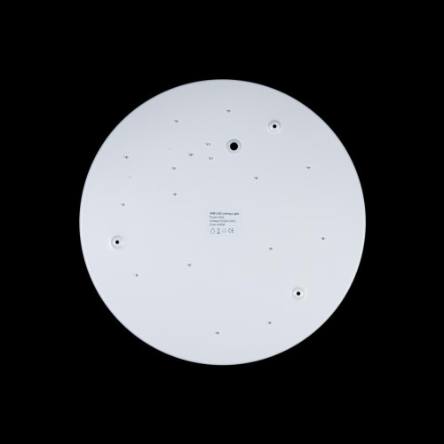 Потолочный светильник Loft IT AXEL 10003/24 White