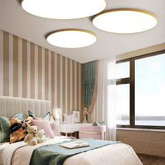 Потолочный светильник ImperiumLoft Slim 178457-26
