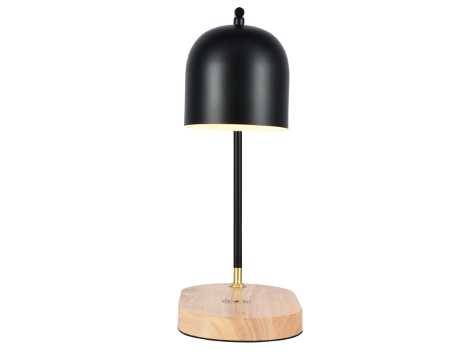 Настольная лампа Zortes DeskLight ZRS.1066.01