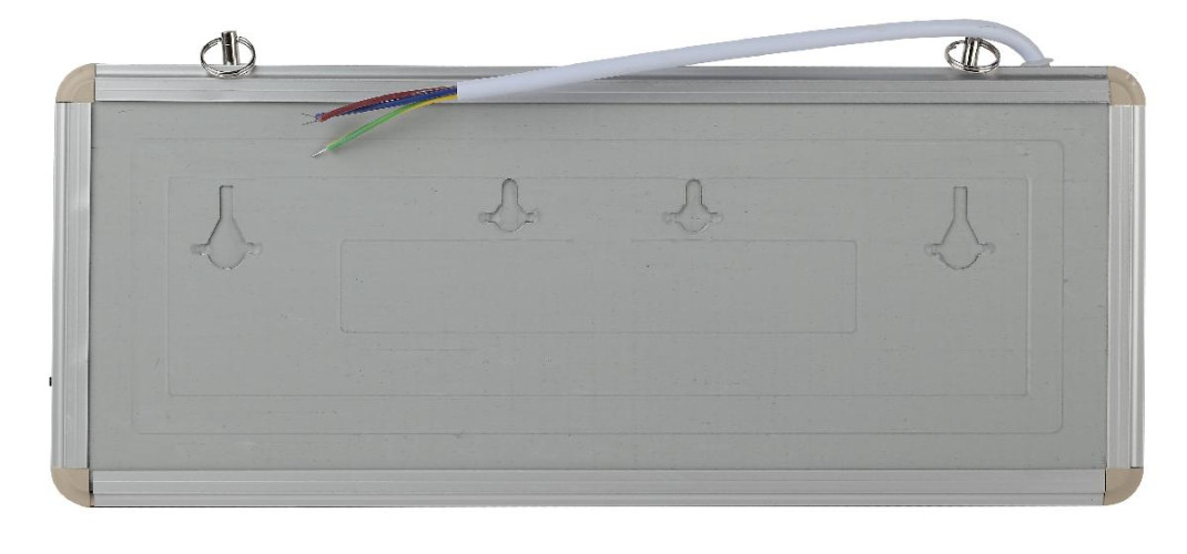 Аварийный светильник Эра SSA-101-1-20 Б0044388