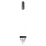Подвесной светильник Odeon Light Ray 6677/5L