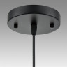 Подвесной светильник Lumion Suspentioni Elenika 8057/1A