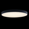 Потолочный светильник Loft IT AXEL 10002/48 Black