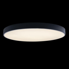 Потолочный светильник Loft IT AXEL 10002/48 Black