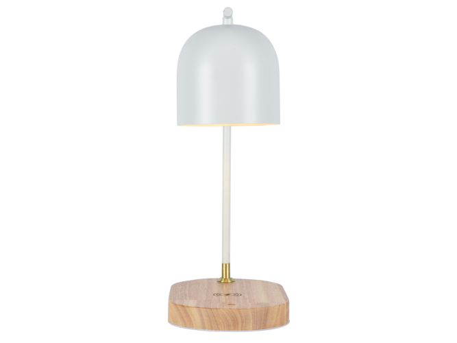 Настольная лампа Zortes DeskLight ZRS.1066.02