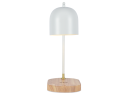Настольная лампа Zortes DeskLight ZRS.1066.02