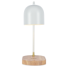 Настольная лампа Zortes DeskLight ZRS.1066.02