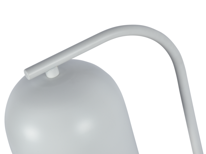 Настольная лампа Zortes DeskLight ZRS.1066.02