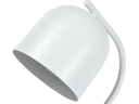 Настольная лампа Zortes DeskLight ZRS.1066.02