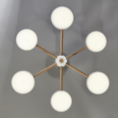 Потолочная светодиодная люстра Escada Astrid 10236/6LED