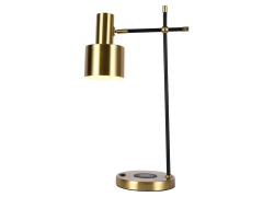 Настольная лампа Zortes DeskLight ZRS.1066.03