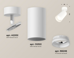 Спот Ambrella Light Techno Spot XM6322010 (A2202, C6322, N6246)