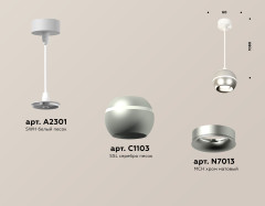 Подвесной светильник Ambrella Light Techno Spot XP1103001 (A2301, C1103, N7013)