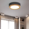 Потолочный светильник ImperiumLoft Wudda 179769-26
